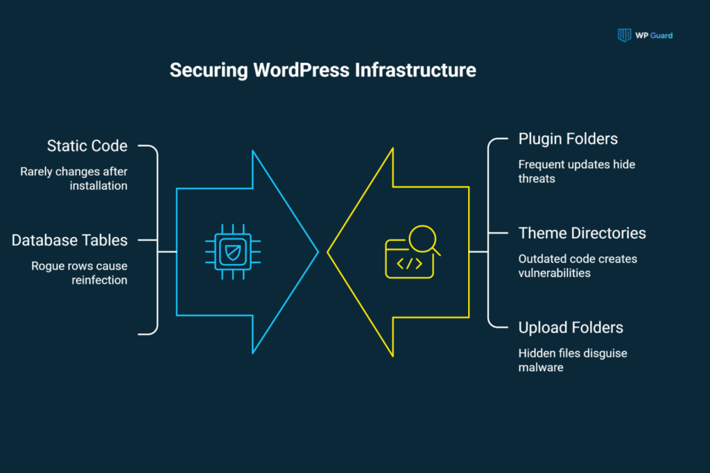 Core WordPress Files vs. Plugin Files: Where Malware Hides