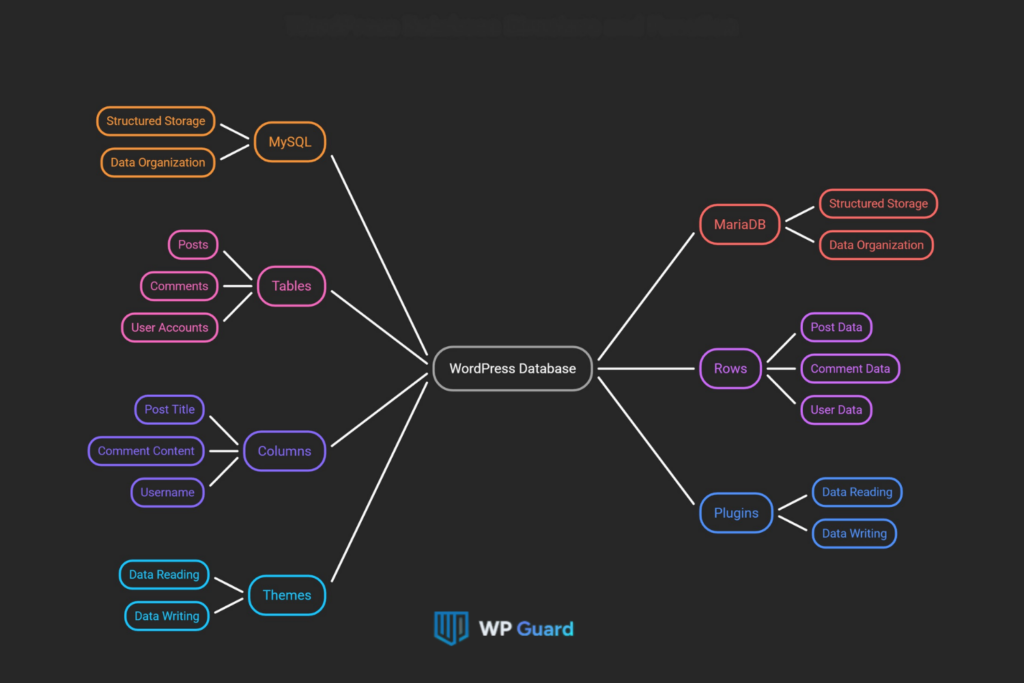 What Is a WordPress Database, Exactly